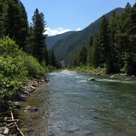 Gallatin River 1500 1500 90