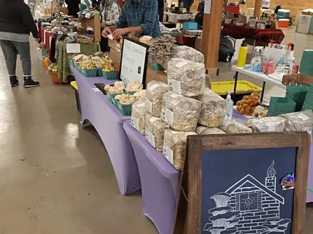 131209376 224643395782273 5243821996362017950 o 800 600 c1