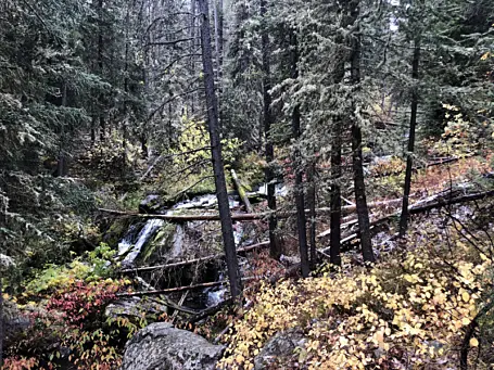 2018 09 30 13 06 21 1 800 600 c1