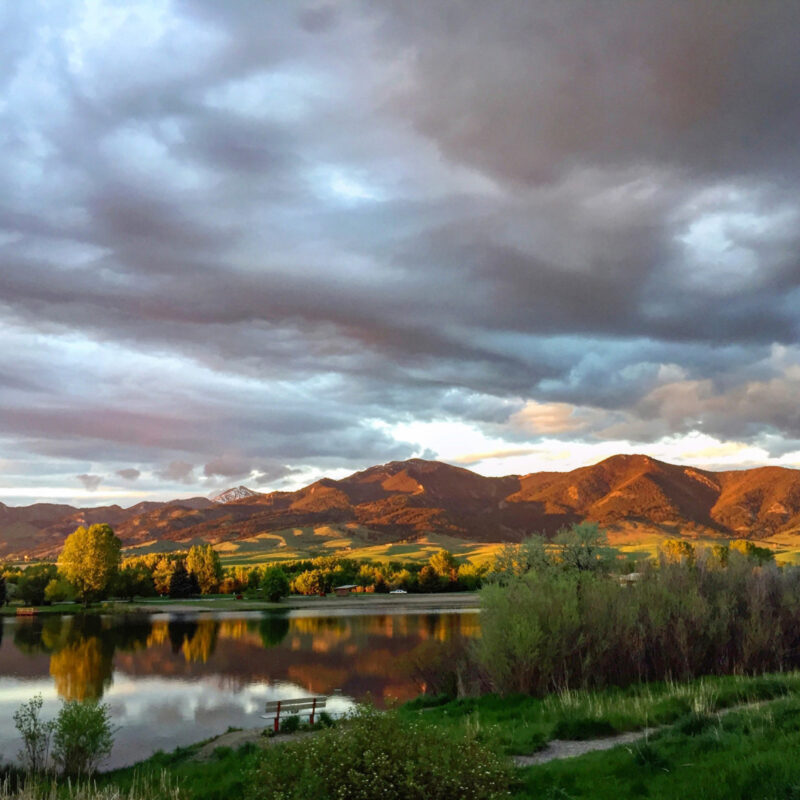 Bridgers Summer 1 1500 1124 90