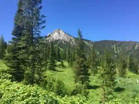 Battle Ridge Ranch