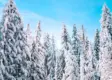 Best Sledding in Bozeman