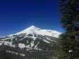 Alpine Meadow