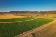 Vacant Land for Sale in Bozeman, Montana