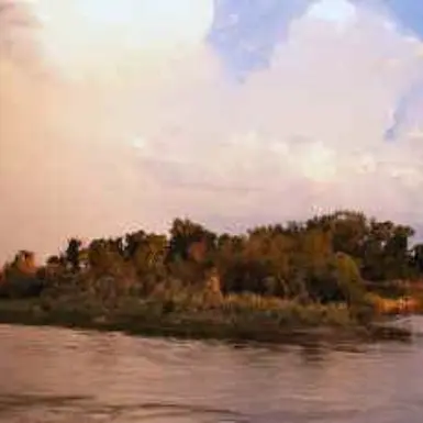 Three Forks