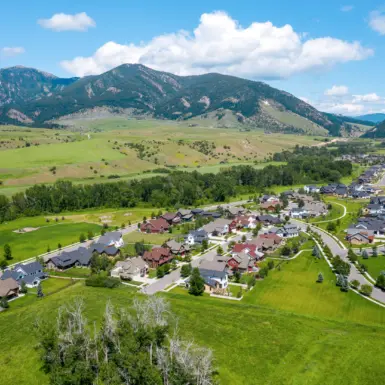 Bozeman Drone