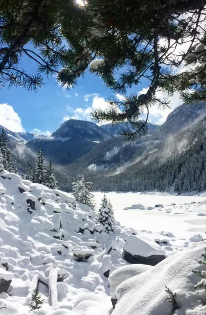 How to Survive Your First Winter in Bozeman, Montana