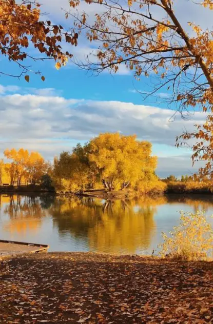 Fall in bozeman