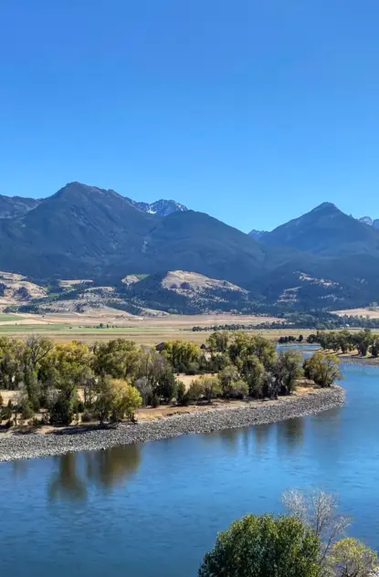 Livingston Montana Mallards Rest