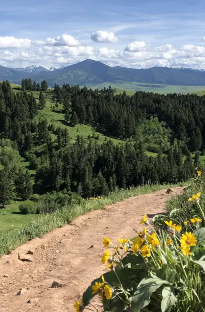 Think You Want to Move to Bozeman? Here Are 3 Things You Should Know.