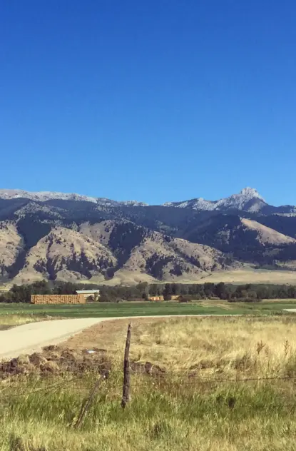 Home Prices in Bozeman vs. Belgrade