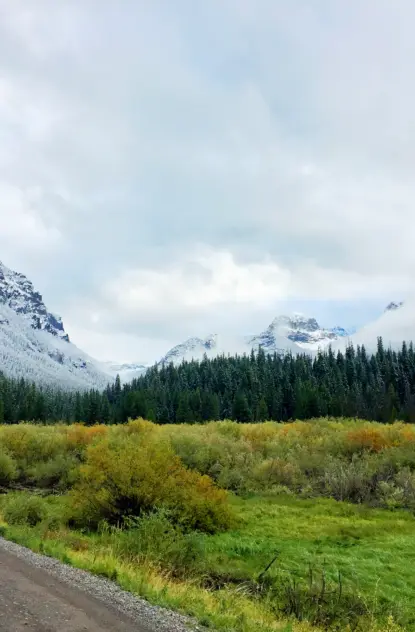 Best Places to See Fall Colors in Bozeman