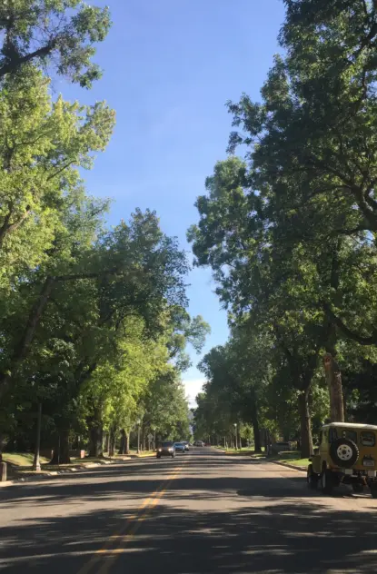 Homes For Sale on Willson Avenue