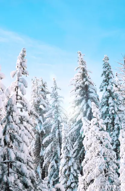 Best Sledding in Bozeman