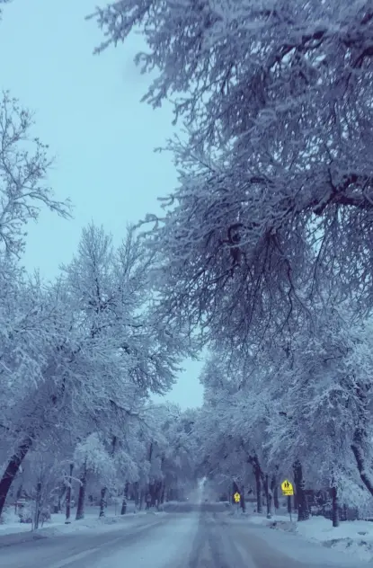 Is It Over Yet? 10 Pictures of Winter 2019 in Bozeman