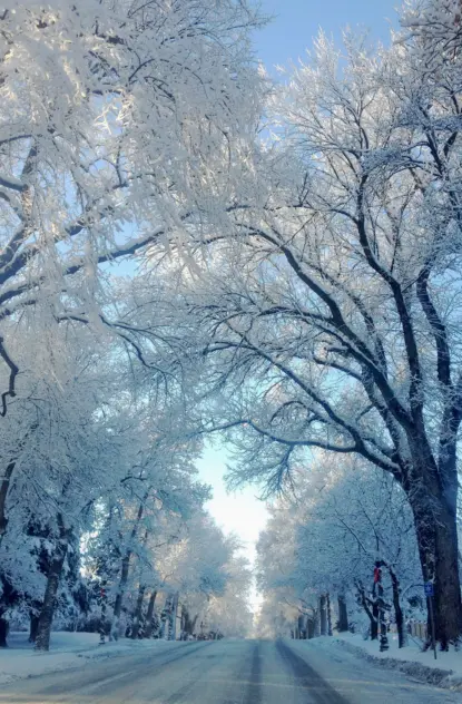 Winter Perfect Montana Homes