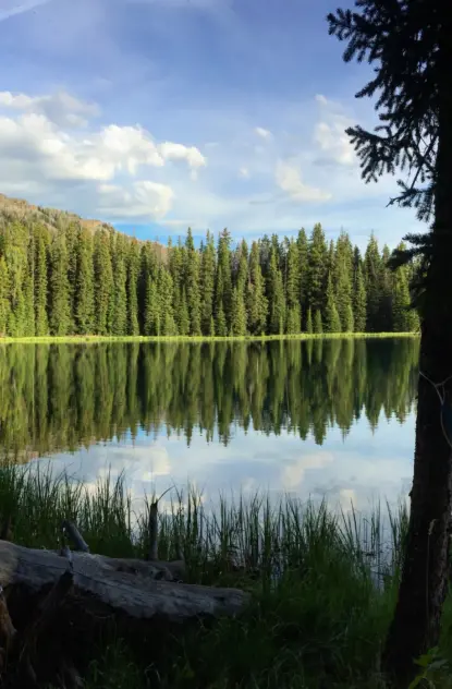 Best Campgrounds Near Bozeman Montana