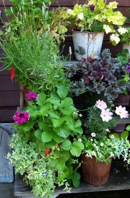 Top Spring Landscaping Trends in Bozeman
