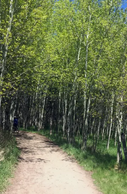 Featured Bozeman Neighborhood-Legends at Bridger Creek