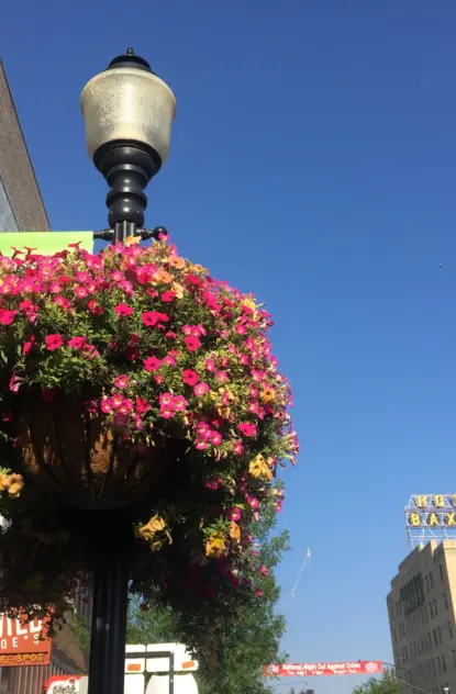 Bozeman Summer Events You Don't Want to Miss