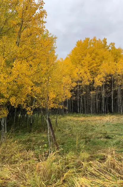 Fall Activities in Bozeman