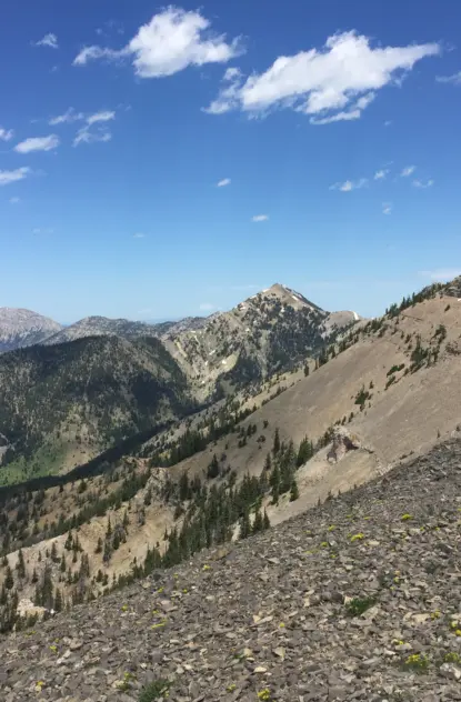 Best Peaks to Hike in Bozeman, Montana