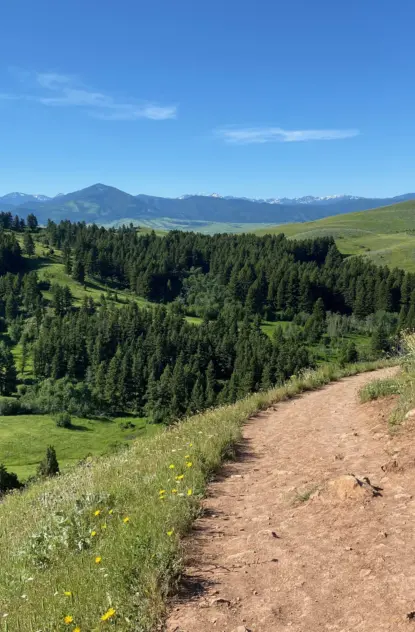 How Bozeman’s Population Has Changed Over the Last 5 Years