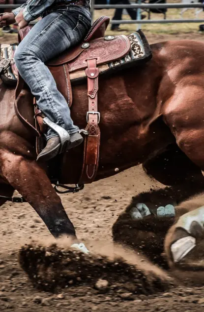 Rodeos in Bozeman