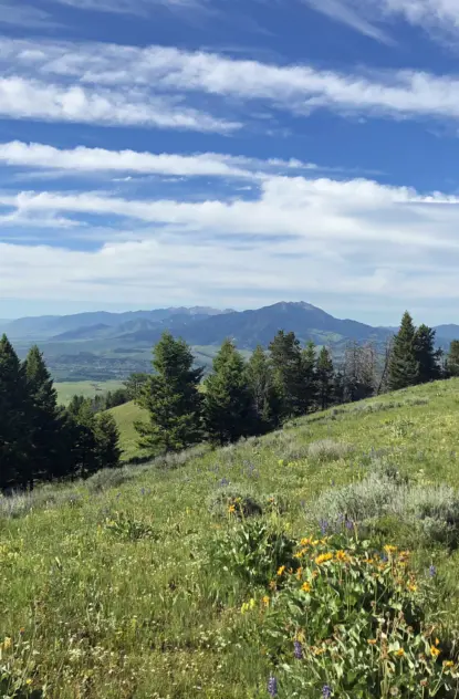 A Local's Guide to Bozeman, Montana