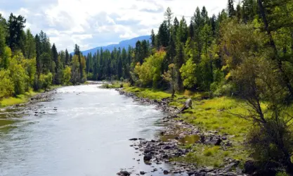 Montana 1316643 960 720