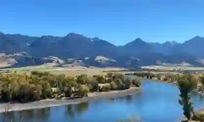 Livingston Montana Mallards Rest