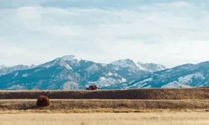 Living in montana edit