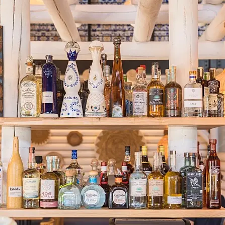 457738599 17868125871188966 7754882169781853850 n