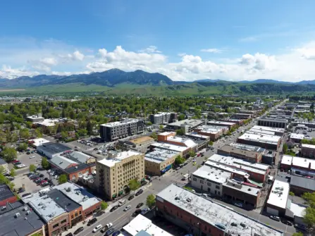 Drone DT spring website