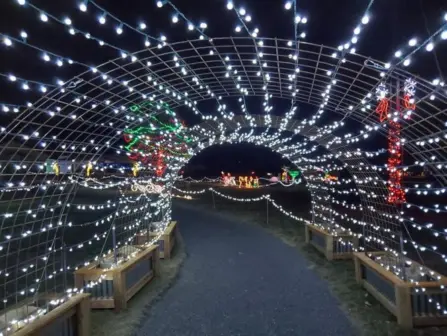 Belgradeholidaylightpark