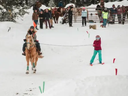 Bridger Brewskis & Spurs: New Skijoring Event Coming to the Gallatin Valley in 2026