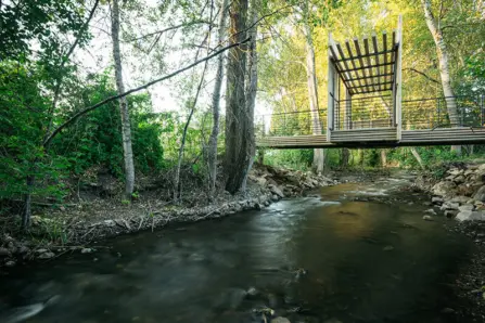 Bozeman Creek is Getting a Major Restoration. Here's What the Plan Includes.