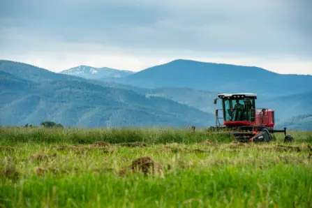 MSU BART Farm: Bozeman's 474-Acre Agricultural Research Hub