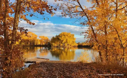 Bozeman Halloween Events 2026: 10 Picks for Kids and Adults