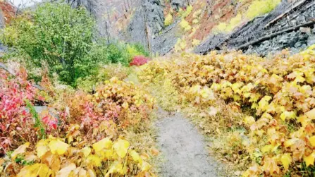 Mill Creek Passage Falls