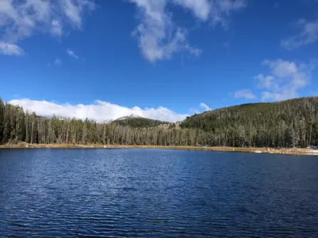Montana Lake Tobacco Roots