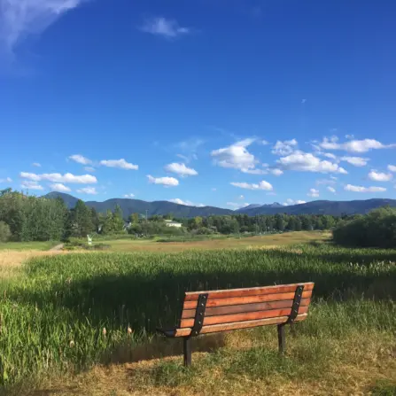 Main Street to the Mountains Community Gardens Bench Trail