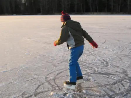 Ice skates 1200901 1920