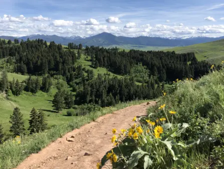 Think You Want to Move to Bozeman? Here Are 3 Things You Should Know.