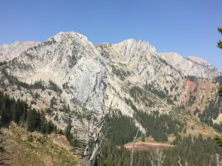 Fraizer Lake Bridgers