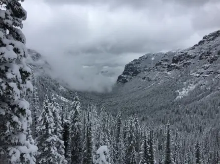 10 Best Things to Do in Bozeman During the Winter