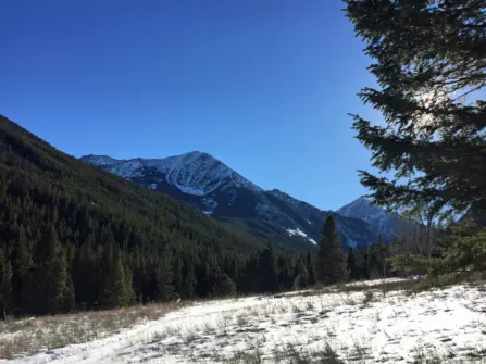 Spanish Creek Trail Winter