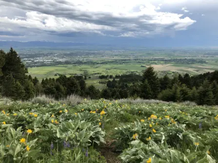 10 Best Spring Hikes in Bozeman