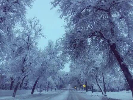 Is It Over Yet? 10 Pictures of Winter 2019 in Bozeman