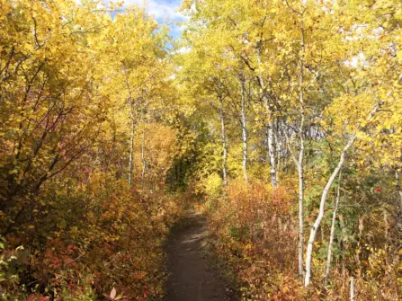 10 Best Fall Hikes in Bozeman